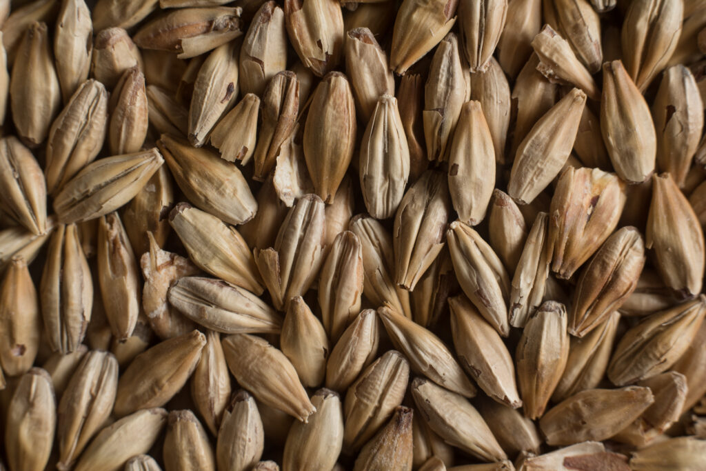 2 Row Malt from Soufflet Malt