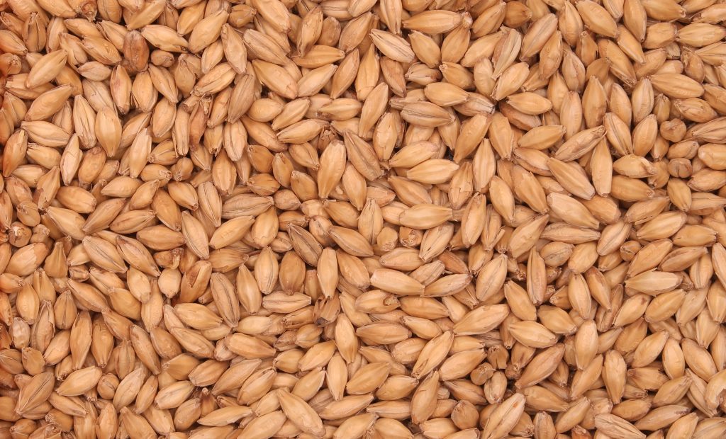 Pale malt by Barrett Burston, a Soufflet Malt Heritage brand.