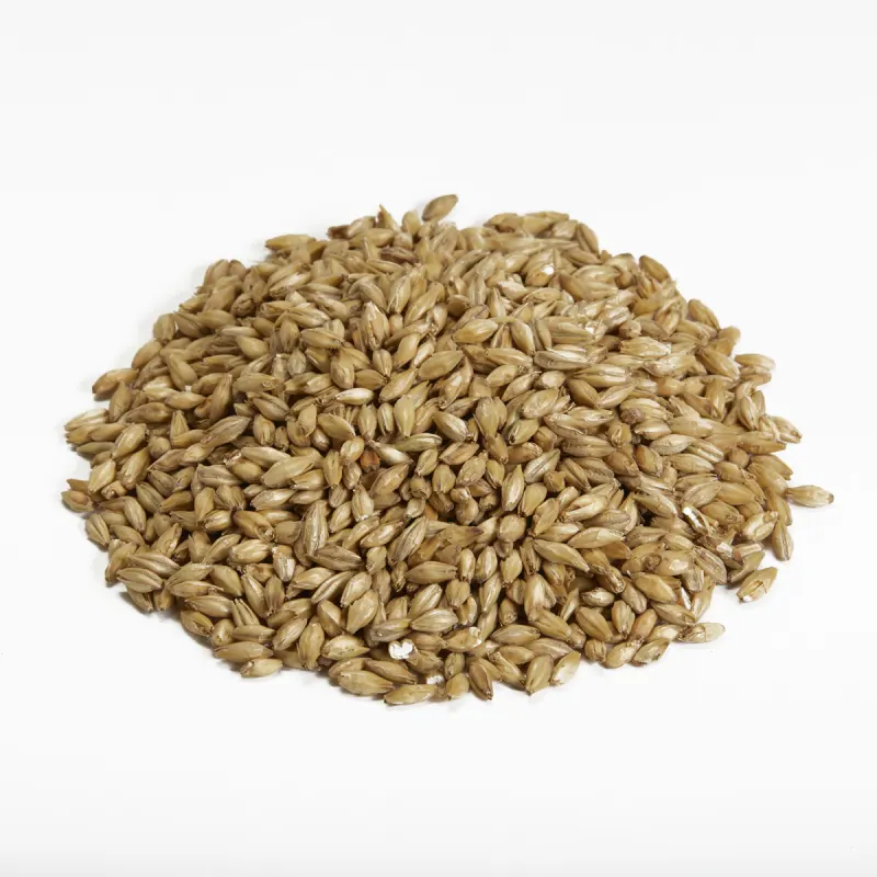 Nos malts de base