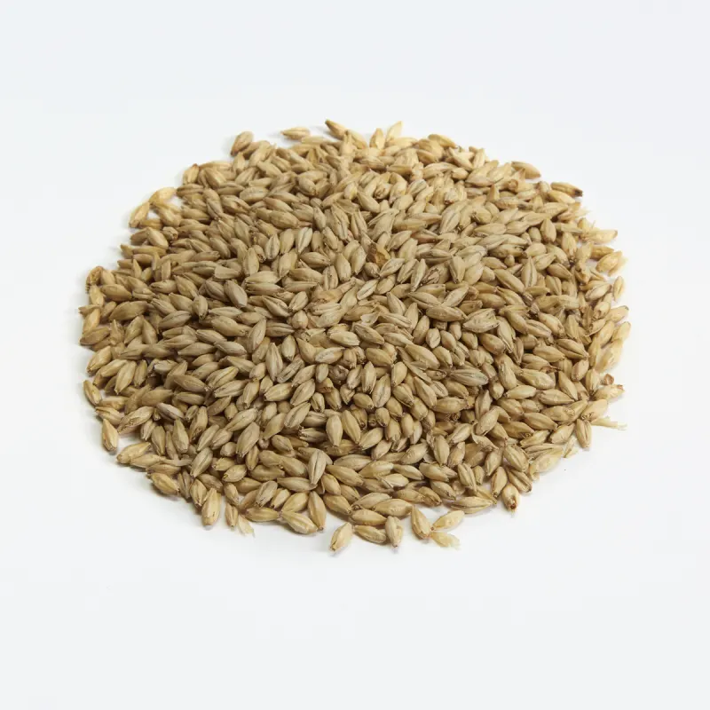 Nos malts de base