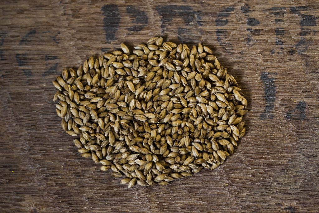 Malt à fort pouvoir diastasique