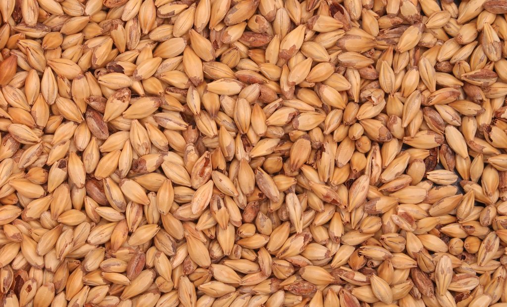 Specialty malt Caramalt by Barrett Burston, a Soufflet Malt heritage brand.