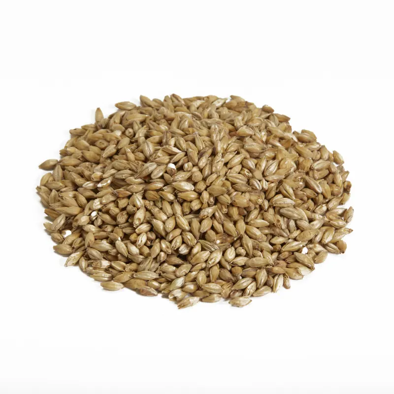 Nos malts spéciaux