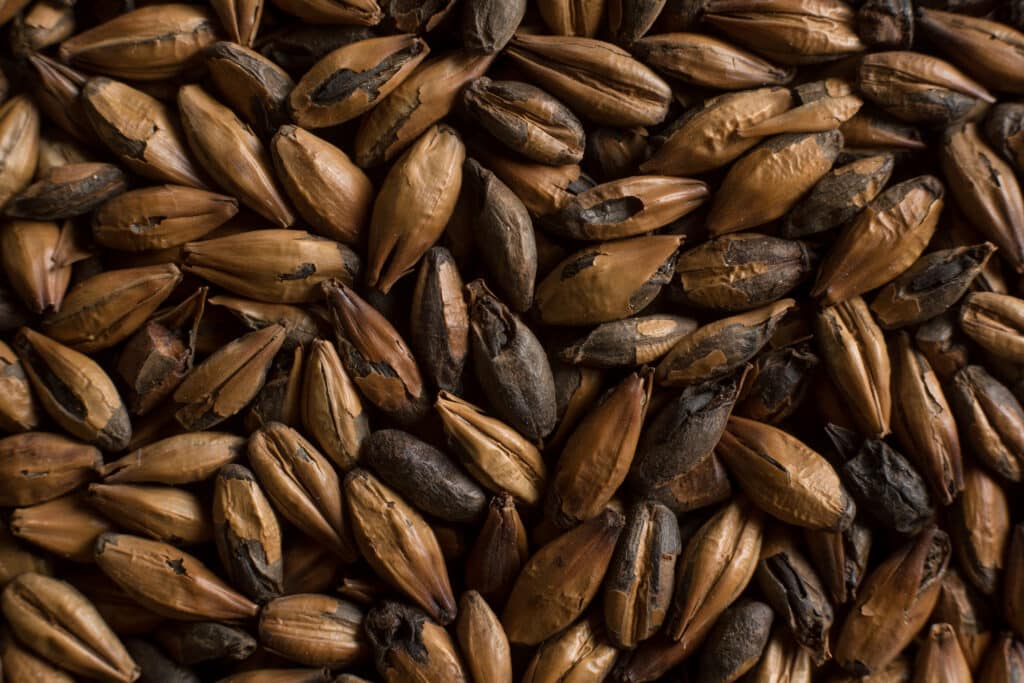Soufflet Malt is a chocolate malt supplier. 