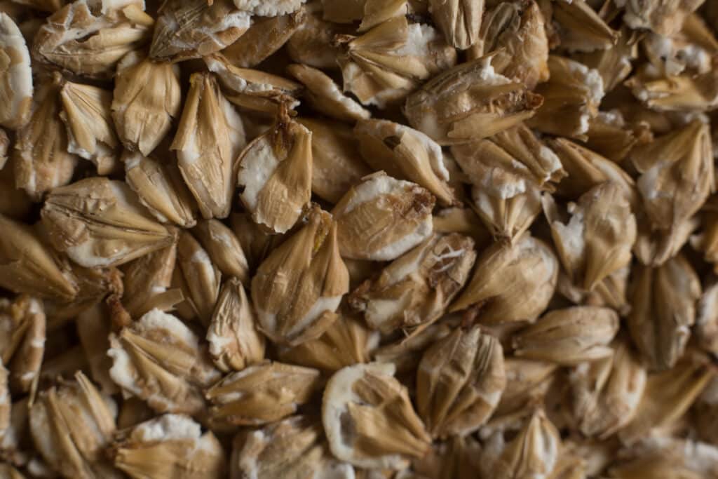 Soufflet Malt Chit Barley Flackes Malt