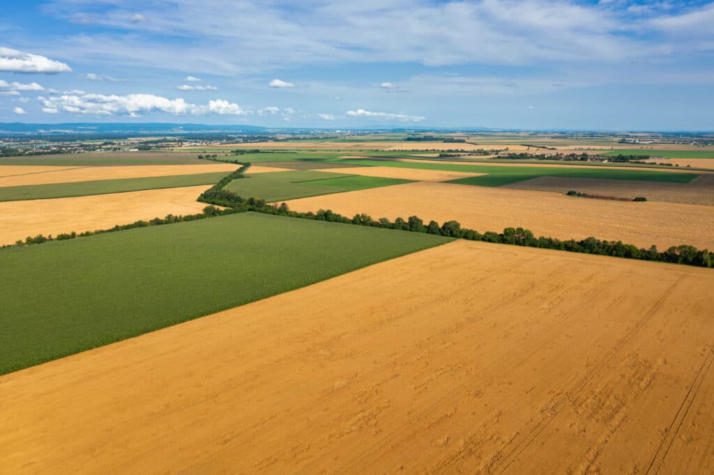 Aerial views reveal a patchwork of barley fields managed through responsible farming practices that strengthen the malt supply chain.