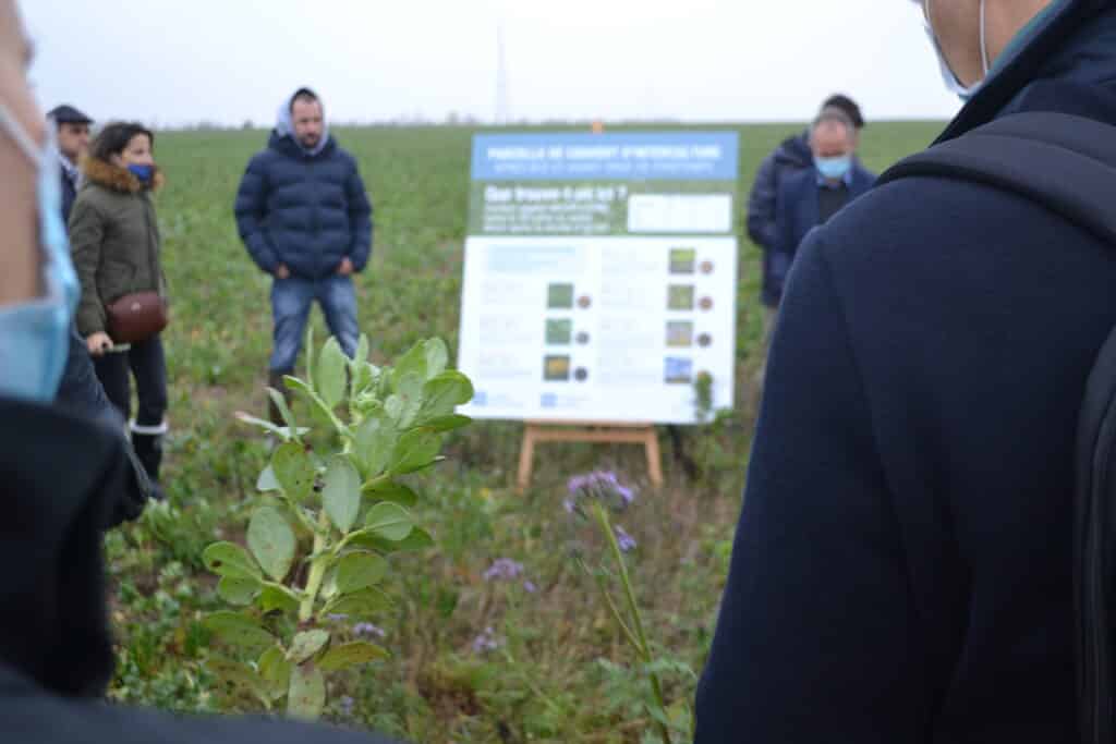 Farmers and agricultural partners gather in the field for a crop demonstration and sustainable farming workshop.