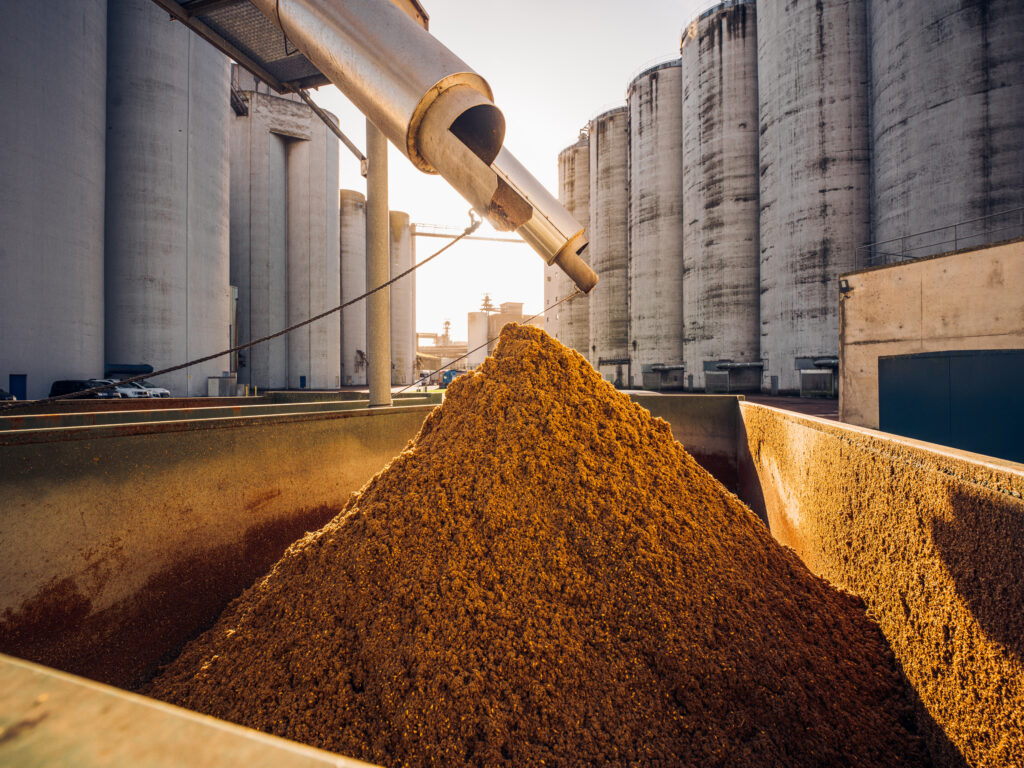 Spent malt grain being sustainably discarded supporting regenerative agriculture practices.
