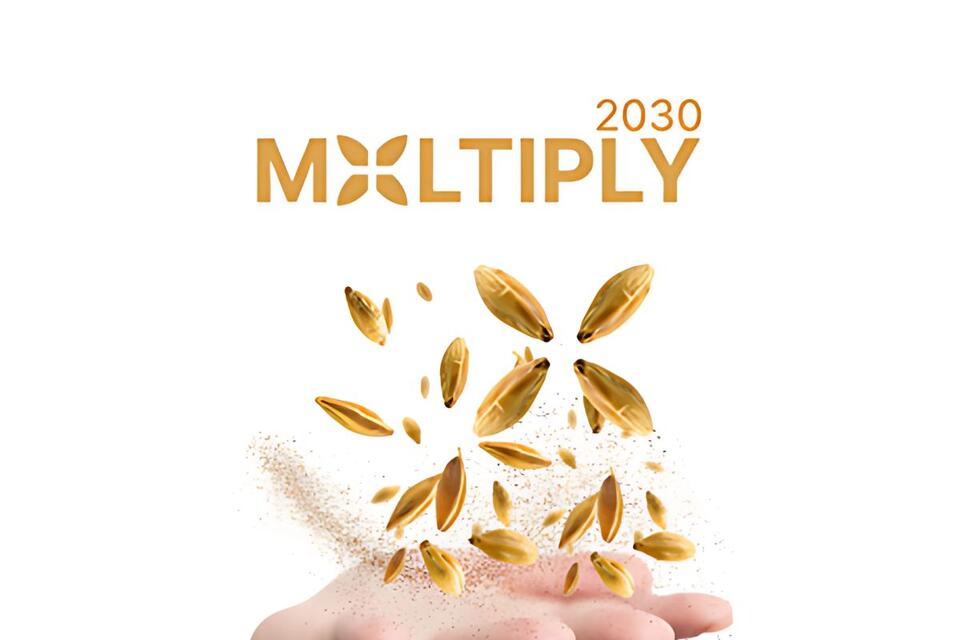 MALTiply 2030 : Soufflet Malt dévoile sa stratégie pour