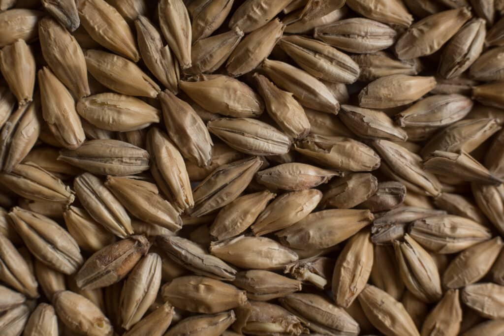 Soufflet Malt Peated single malt