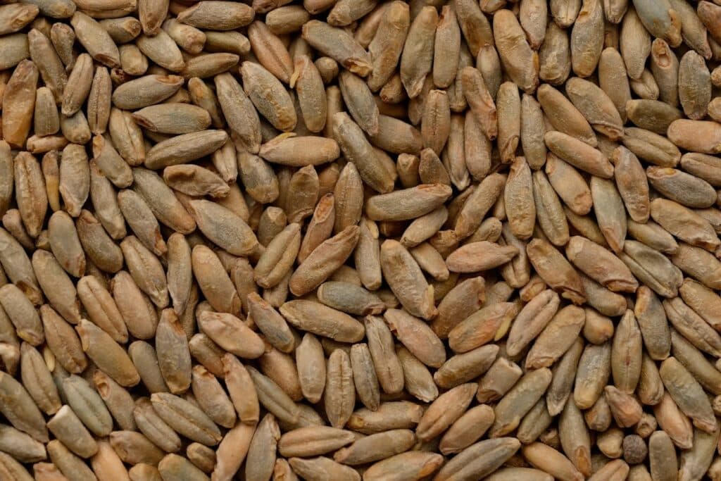 Soufflet Malt Rye Malt