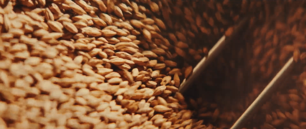 Malt being processed at an malt production company.