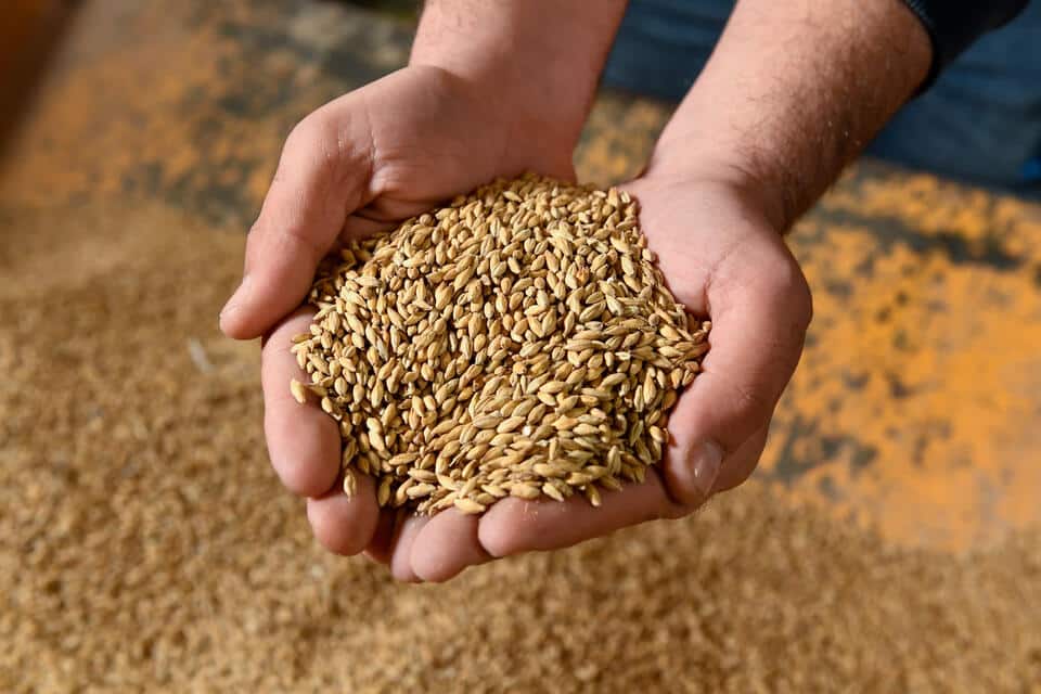 Soufflet Malt accélère sa transformation industrielle