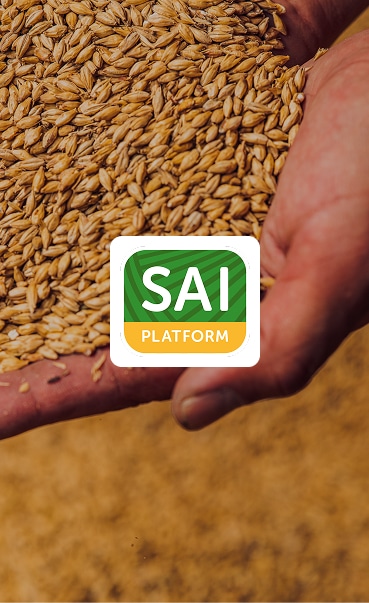 Sustainable Agriculture Initiative Platform