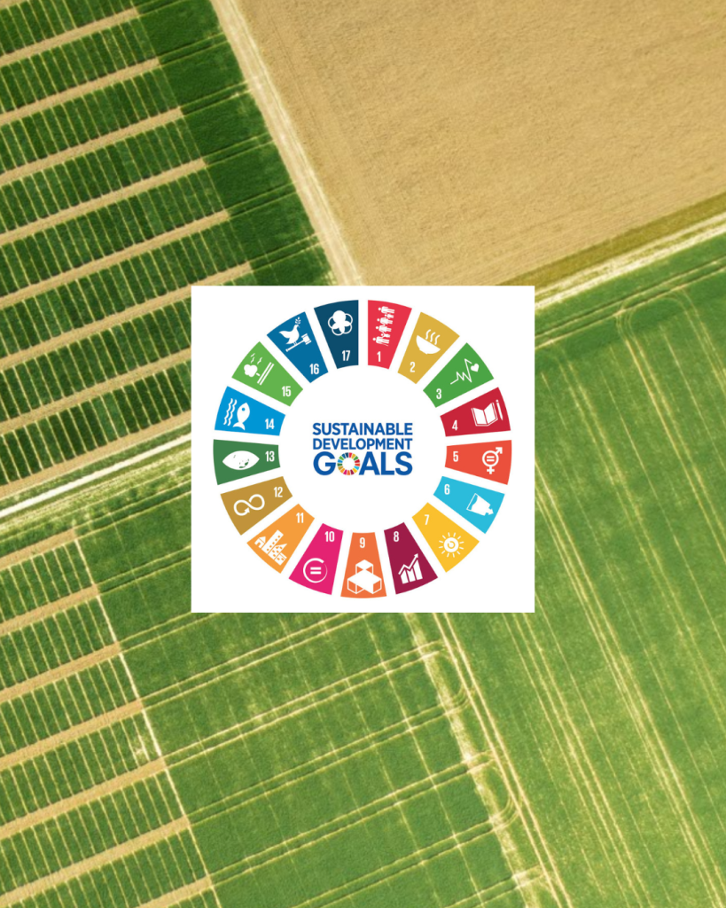 Sustainable Development Goals