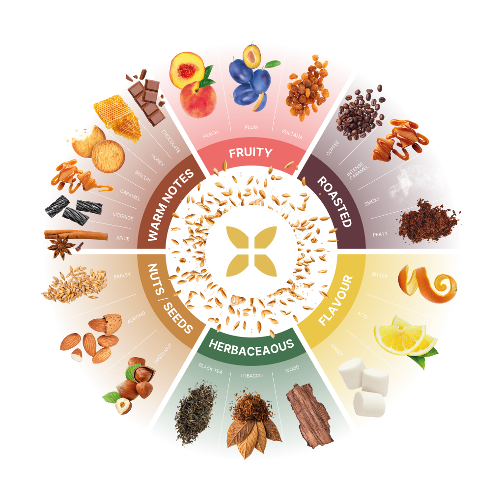 The Soufflet Malt flavour wheel showcases the variety available for food and beverage malt ingredients.