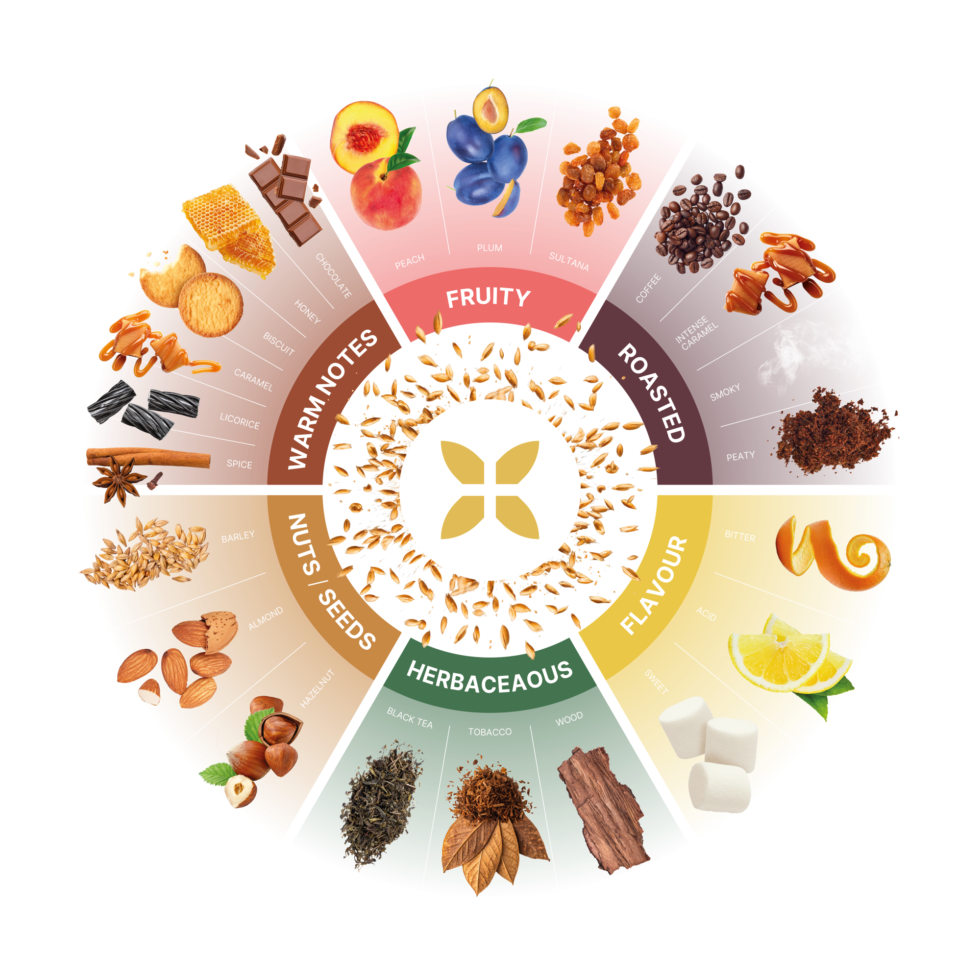 The Soufflet Malt flavour wheel showcases the variety available for food and beverage malt ingredients.